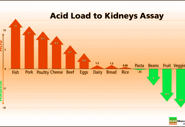 Acid Load to Kidneys Assay Chart