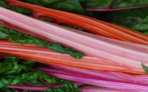 Acid-Alkaline Other Fruits and Fruit Salads PRAL List