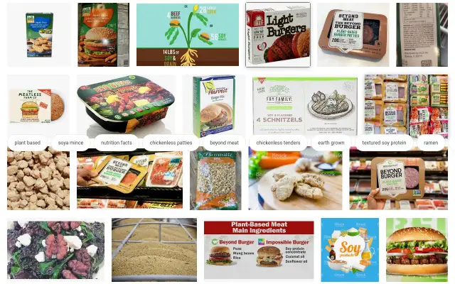 Popular Meat-free Soy Products