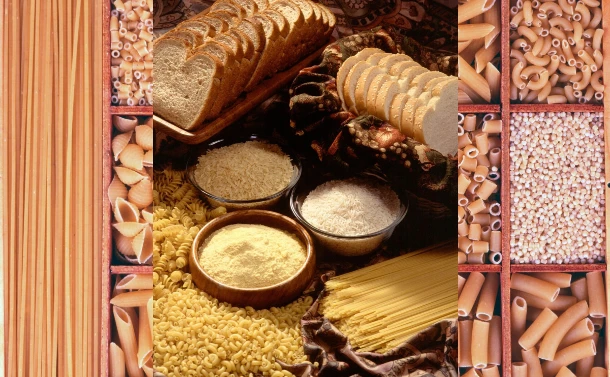 Dietary Guidelines Grains Food Group